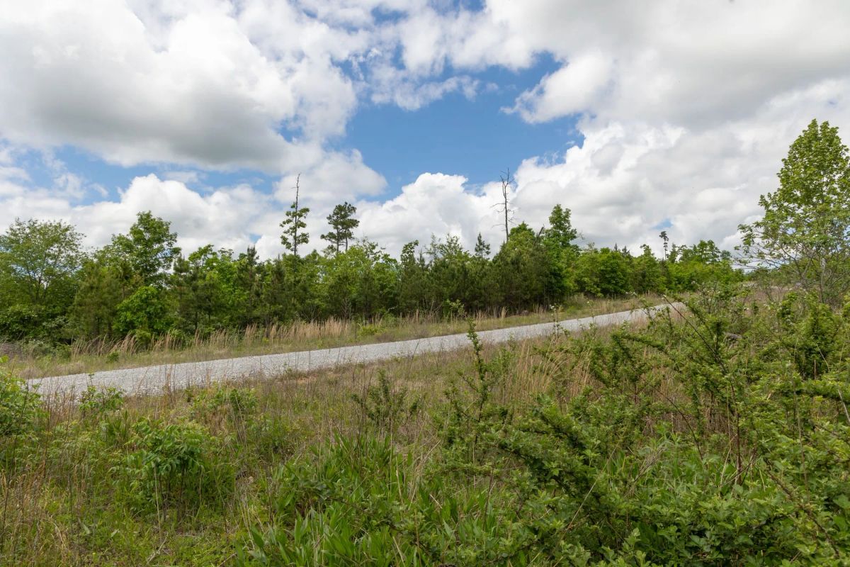 Decorative background for Sleepy Hollow Phase II Tract 85 image 7