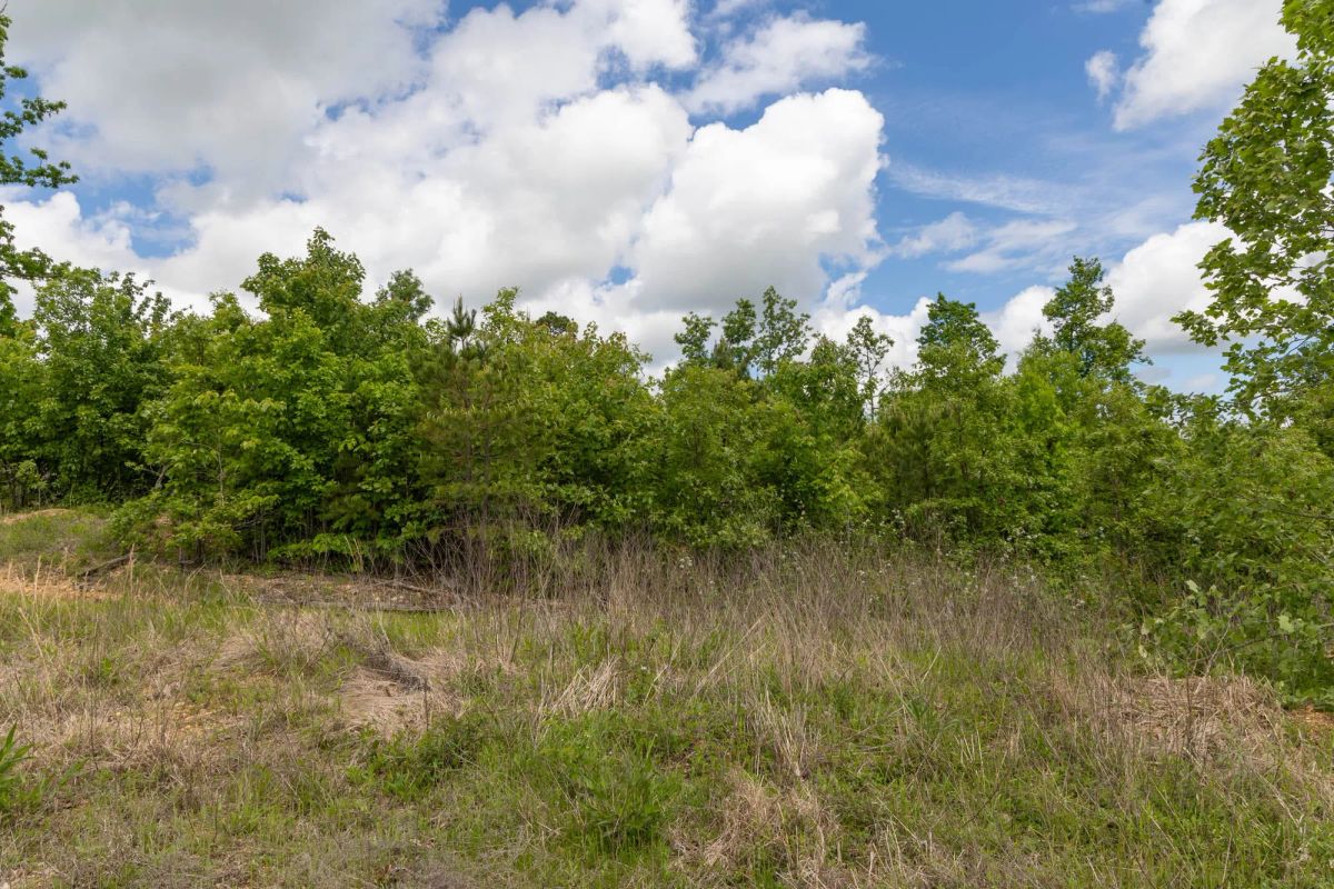Decorative background for Sleepy Hollow Phase II Tract 85 image 10
