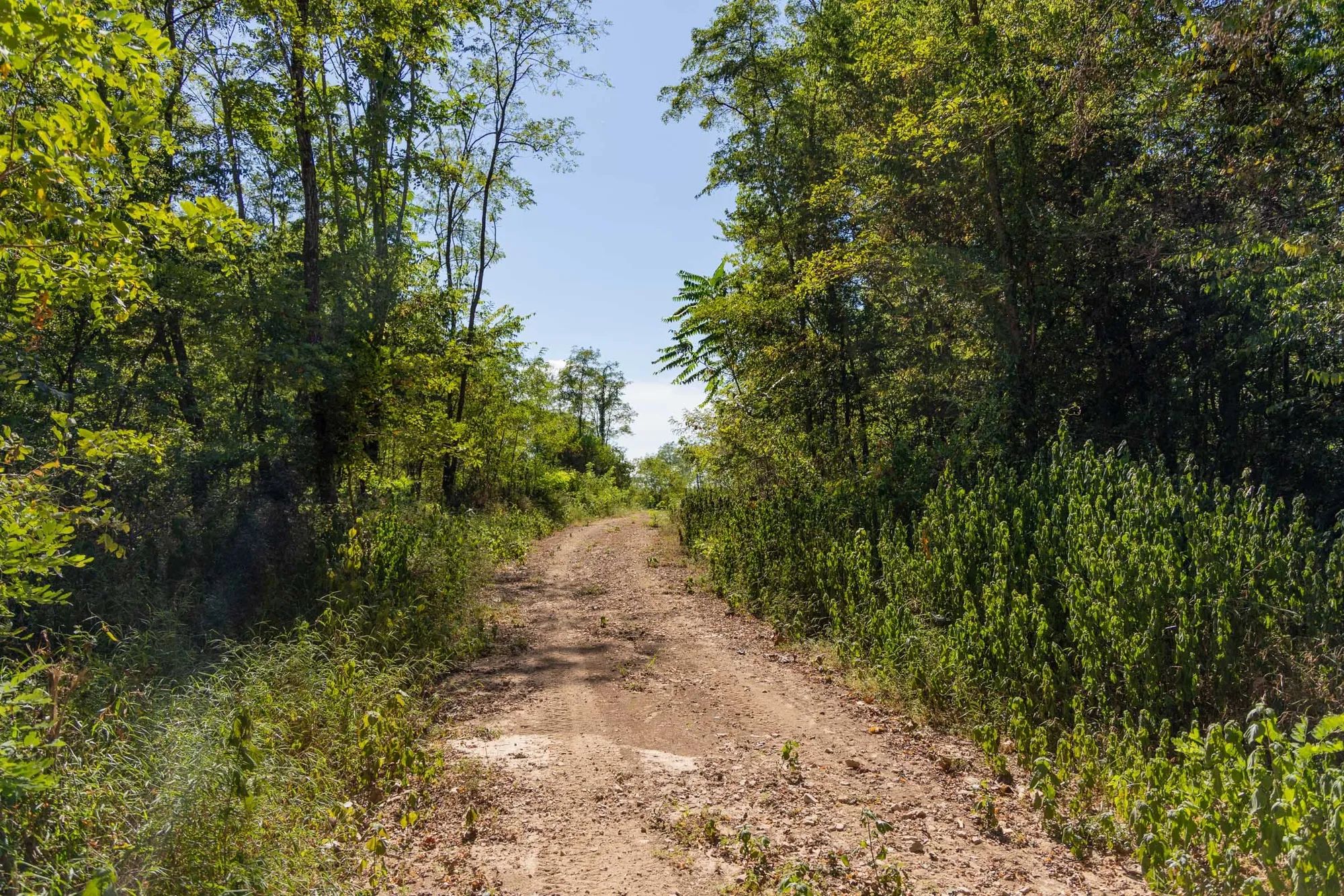 Big White Oak Tract 97 in Perry County, TN