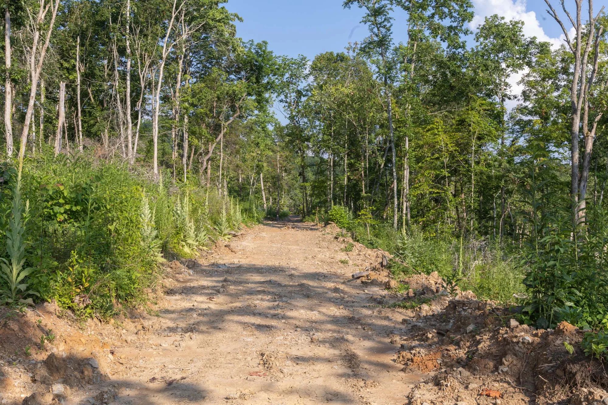 Creek Hollow Phase II Tract 86 in Rockcastle County, KY