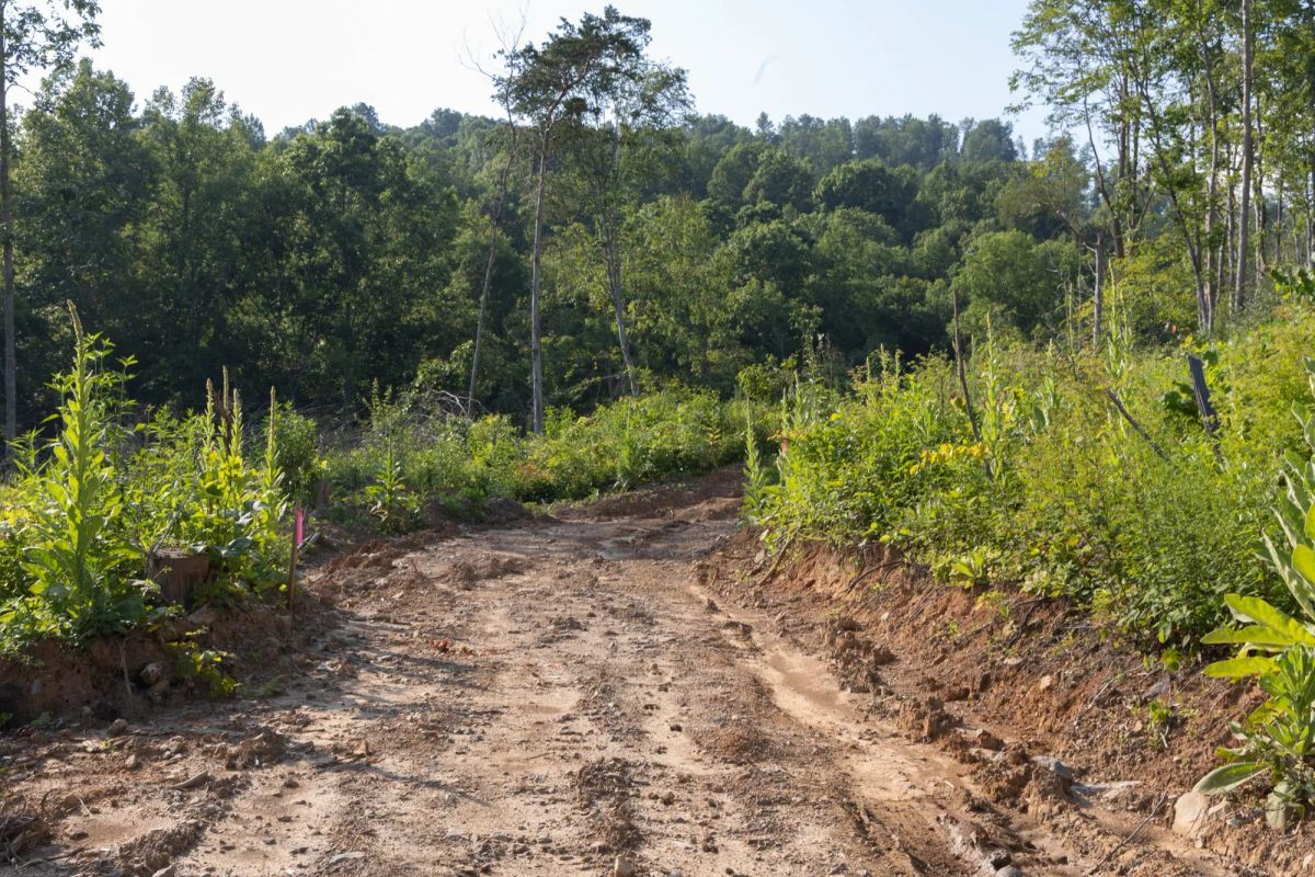 Creek Hollow Phase II Tract 86 - Image 2