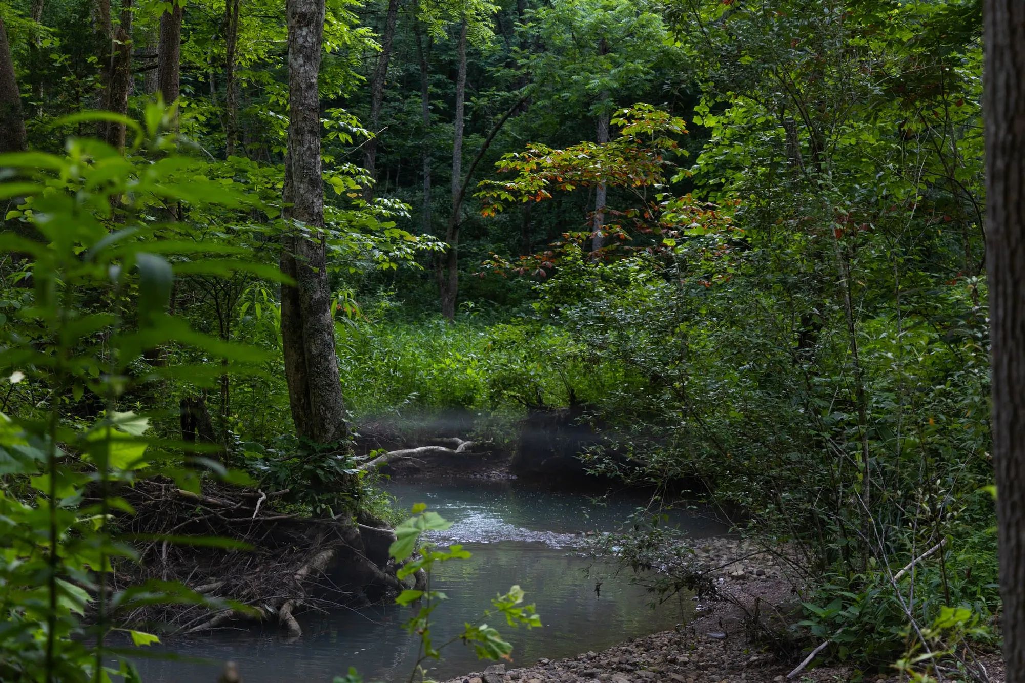 Creek Hollow Phase II Tract 86 in Rockcastle County, KY