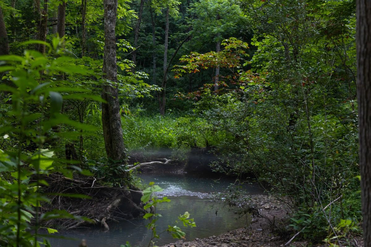 Creek Hollow Phase II Tract 86 - Image 3
