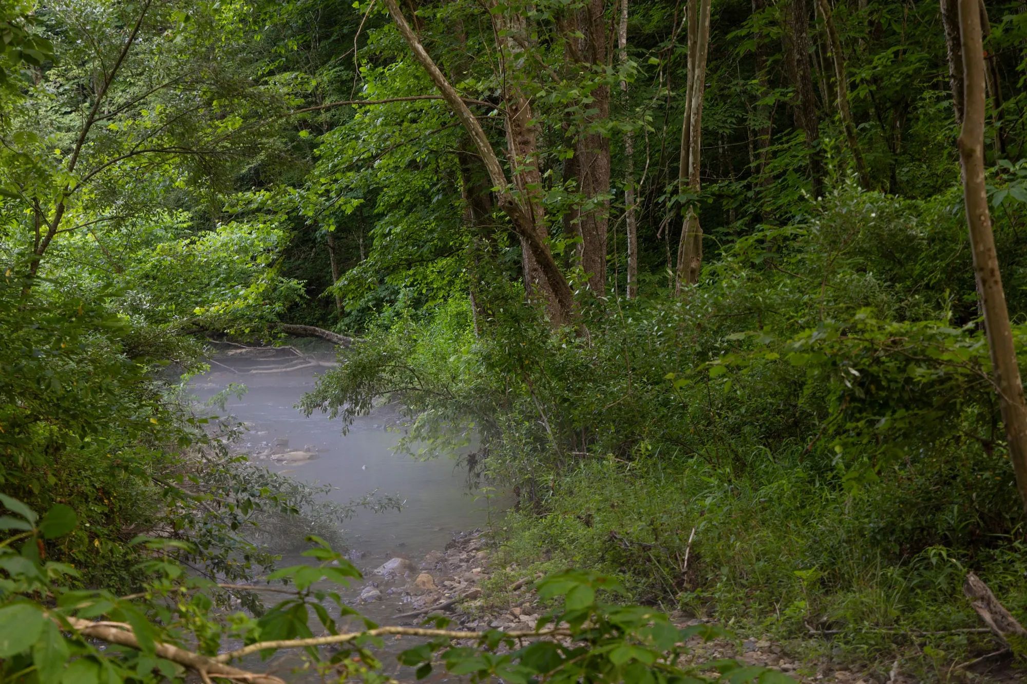 Creek Hollow Phase II Tract 86 in Rockcastle County, KY