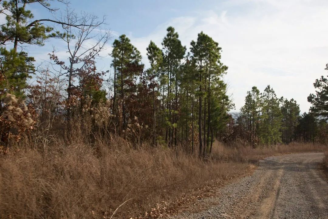 Decorative background for Stone Creek Phase III Tract 89 image 5