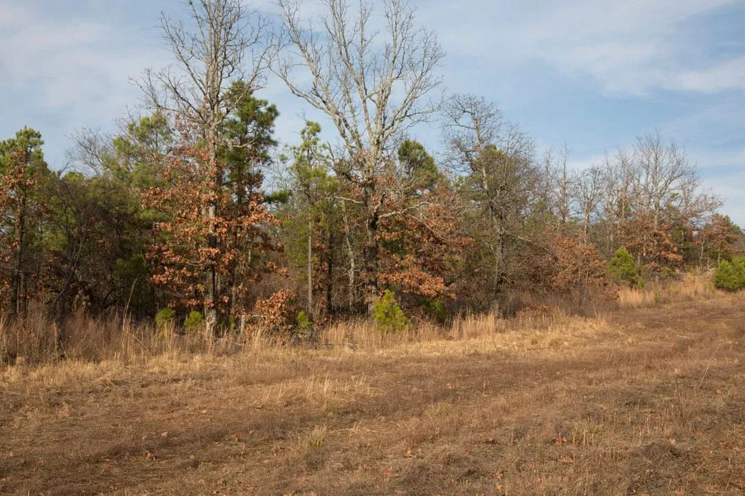Decorative background for Stone Creek Phase III Tract 89 image 9