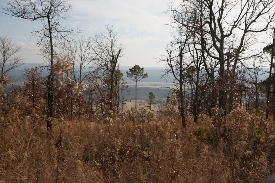 Decorative background for Stone Creek Phase III Tract 89 image 13