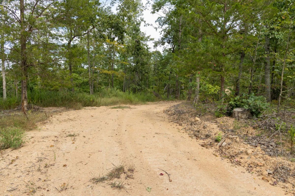 Big White Oak Tract 72 - Main image