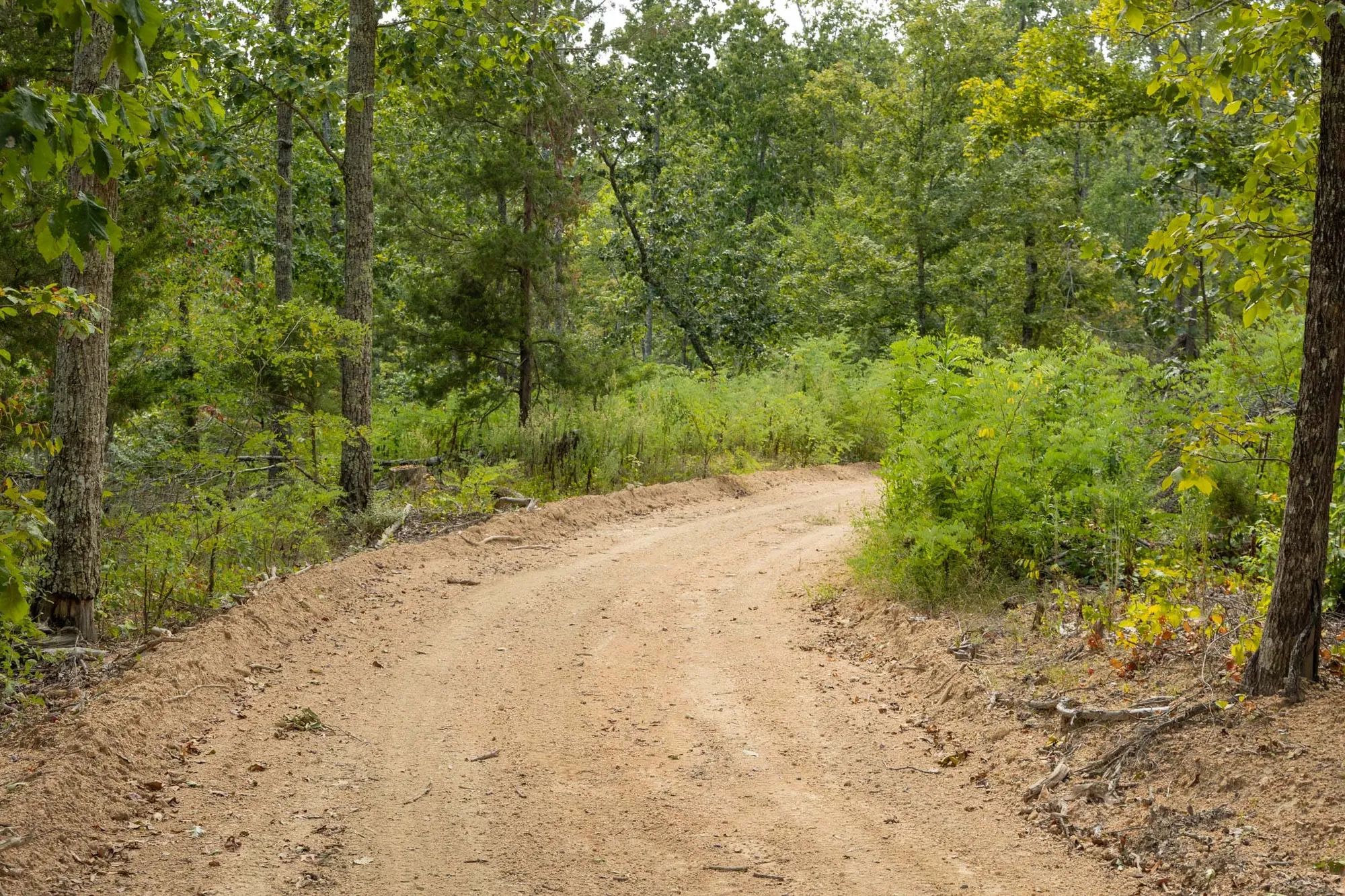 Big White Oak Tract 72 in Perry County, TN