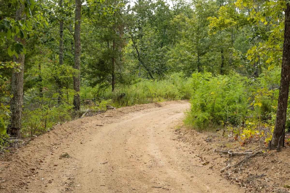 Big White Oak Tract 72 - Image 3