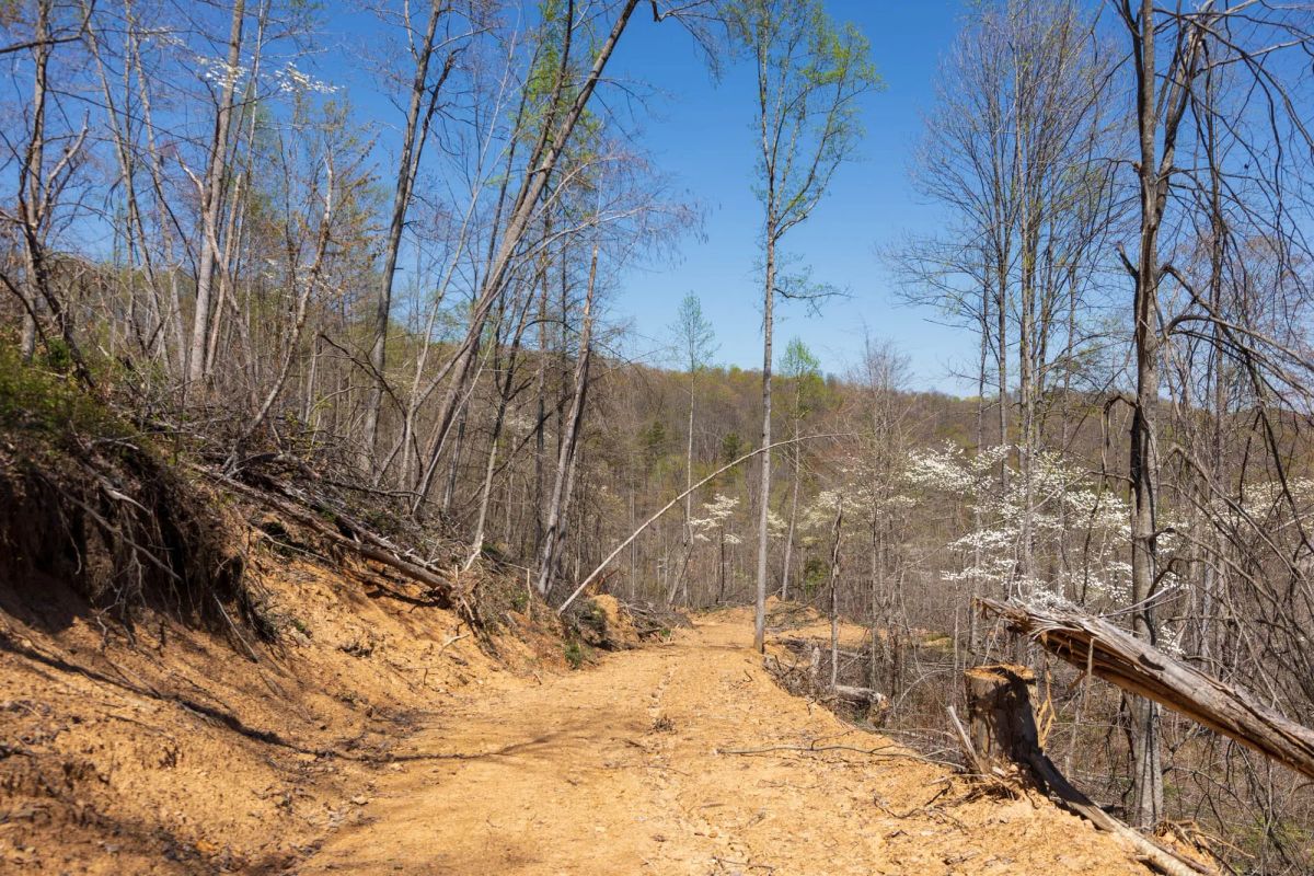 Creek Hollow Phase I Tract 52 - Main image