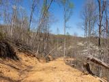 Creek Hollow Phase I Tract 52