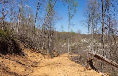 Creek Hollow Phase I Tract 52