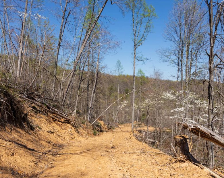 Creek Hollow Phase I Tract 52 in Rockcastle County, KY