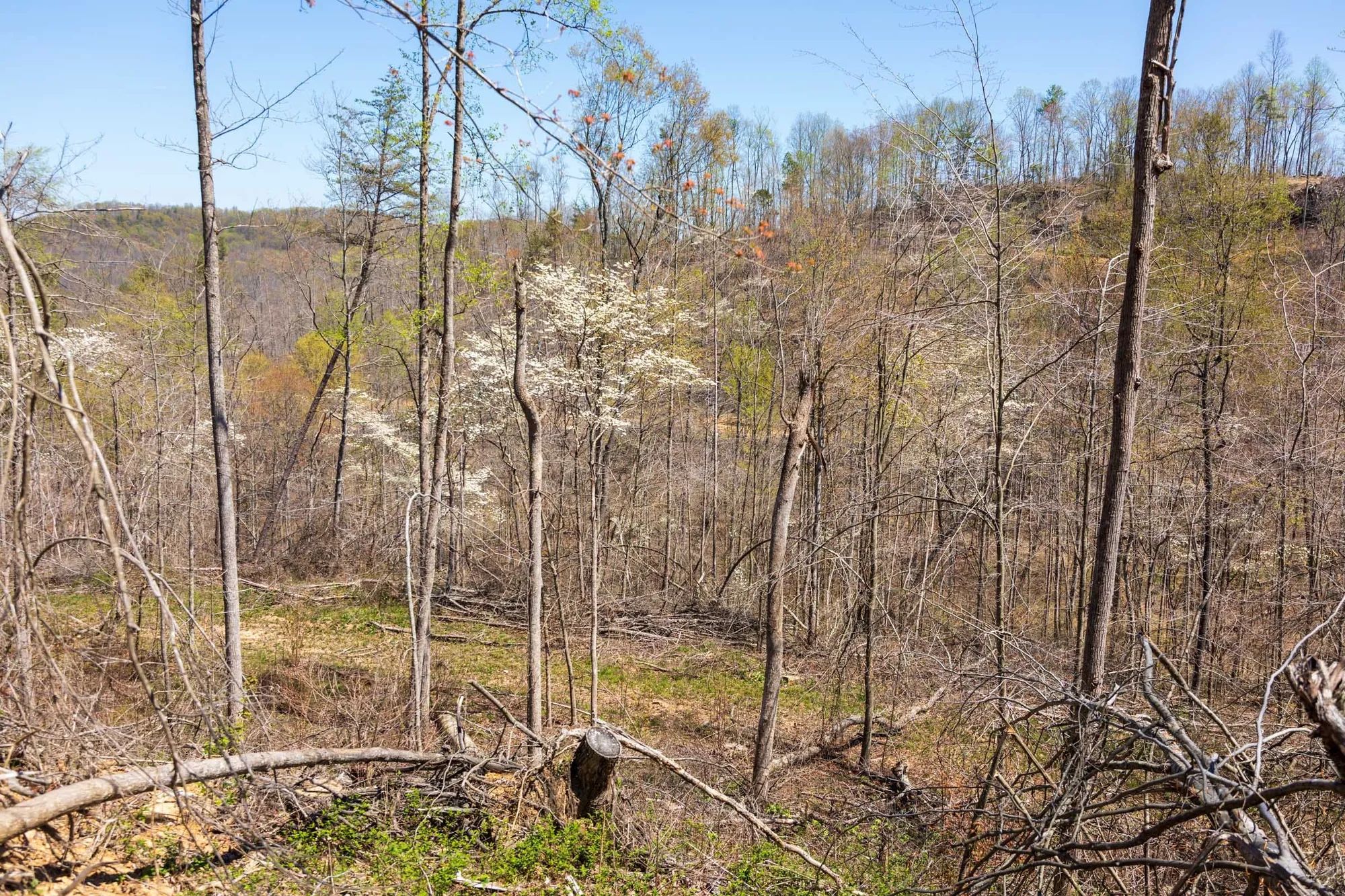 Creek Hollow Phase I Tract 52 in Rockcastle County, KY