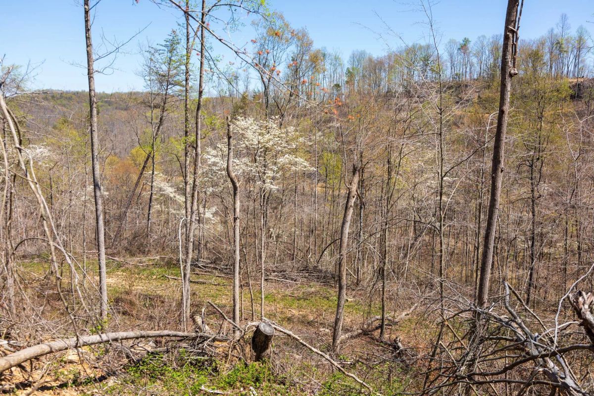 Creek Hollow Phase I Tract 52 - Image 2