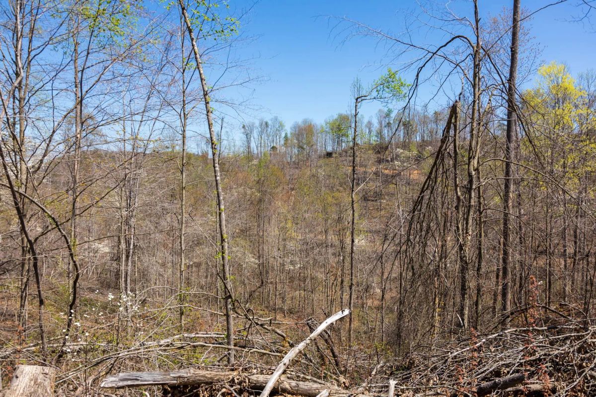 Creek Hollow Phase I Tract 52 - Image 3