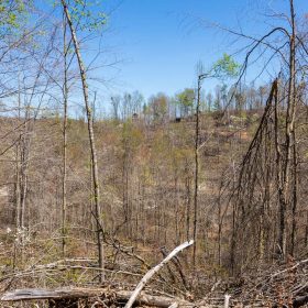 Creek Hollow Phase I Tract 52 in Rockcastle County, KY