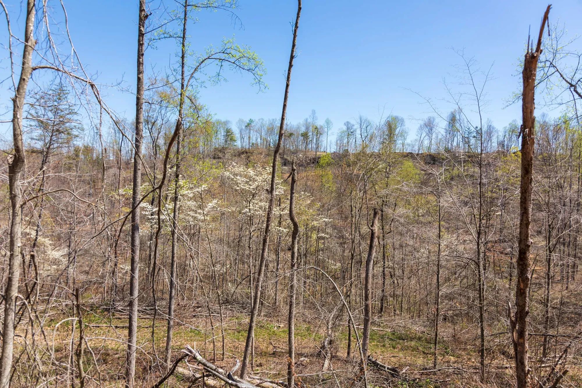 Creek Hollow Phase I Tract 52 in Rockcastle County, KY