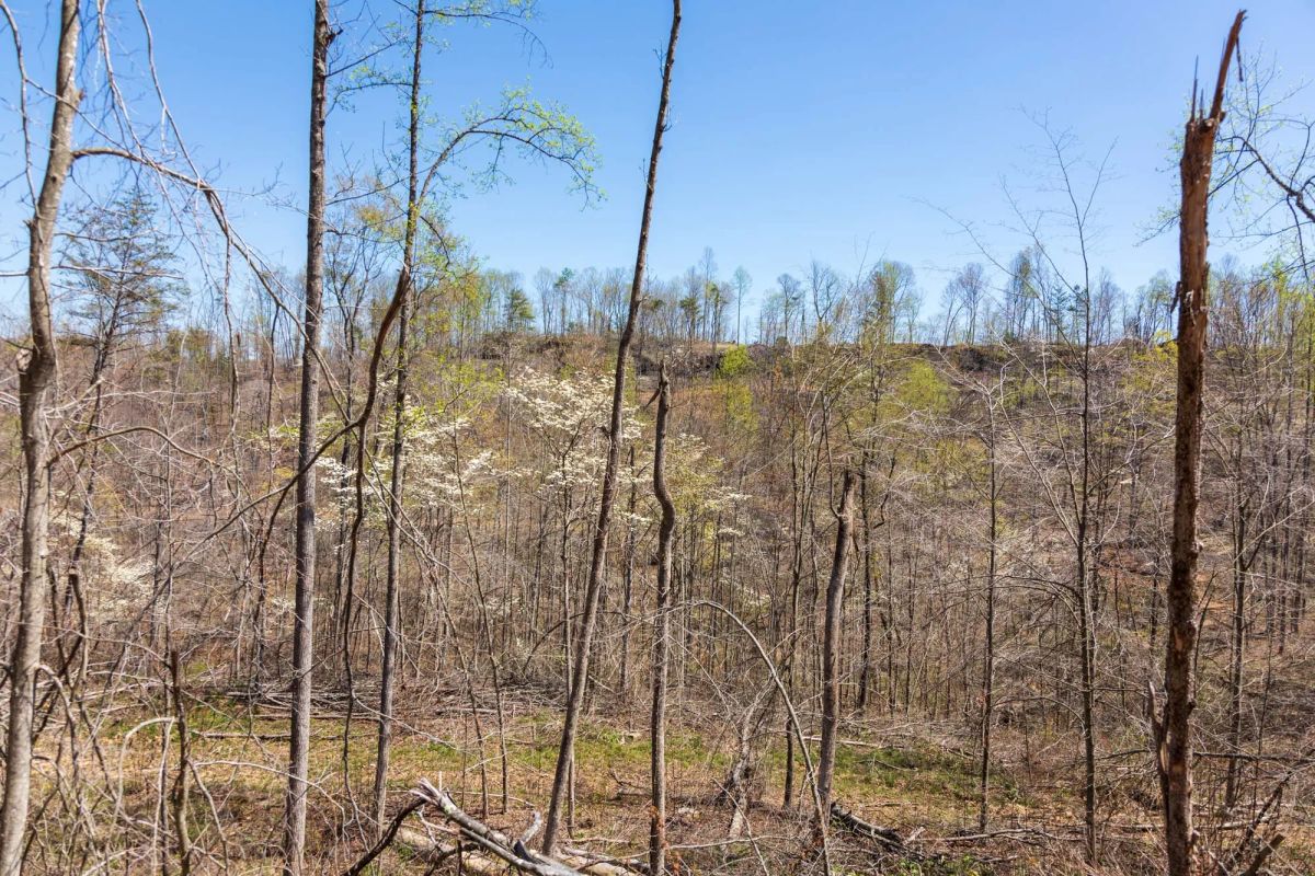 Creek Hollow Phase I Tract 52 - Image 4