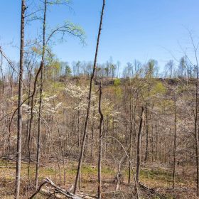 Creek Hollow Phase I Tract 52 in Rockcastle County, KY