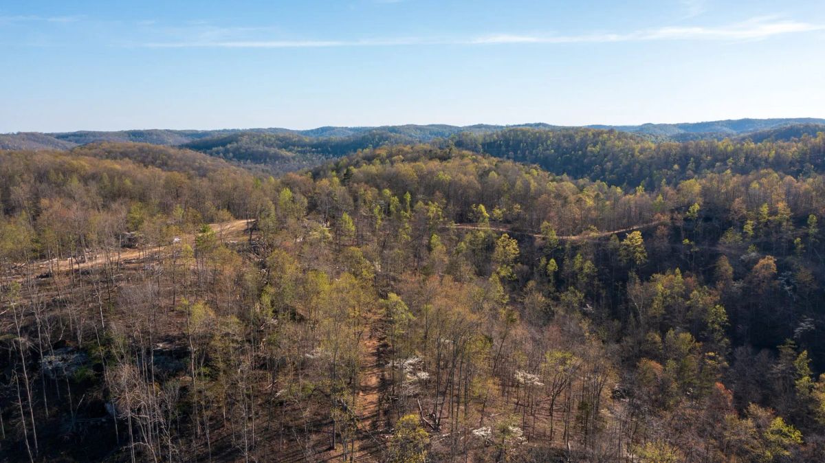Decorative background for Creek Hollow Phase I Tract 52 image 8