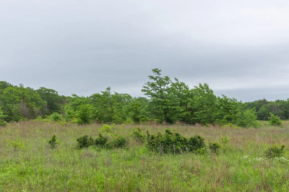 Harmony Hills Tract 7 - Main image