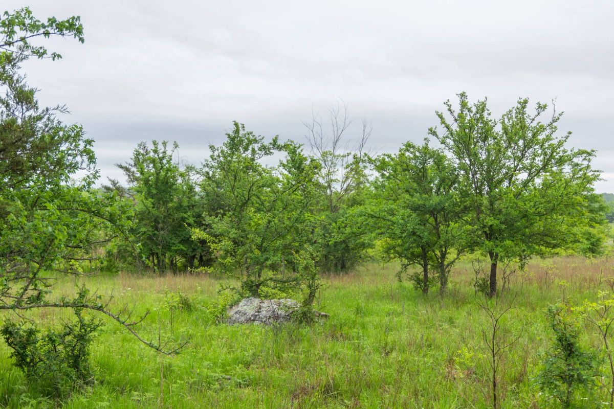 Harmony Hills Tract 7 - Image 3