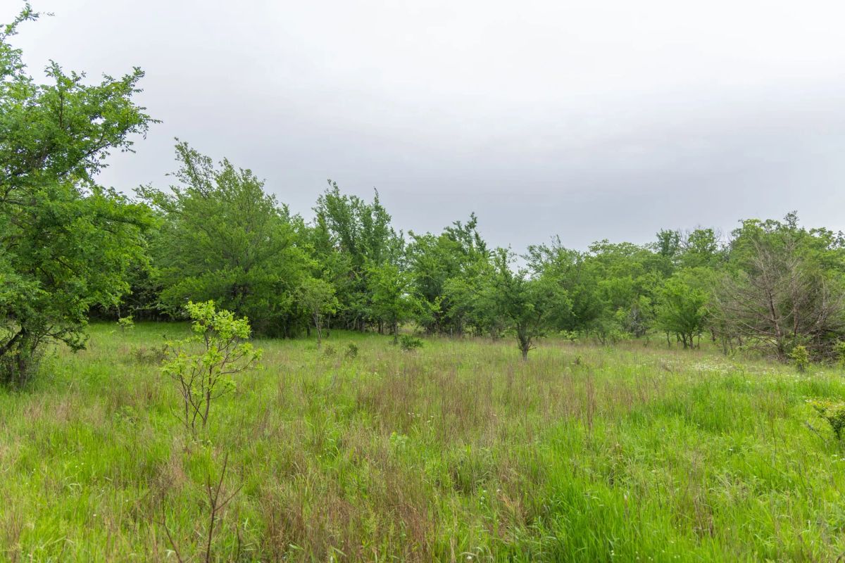 Decorative background for Harmony Hills Tract 7 image 5
