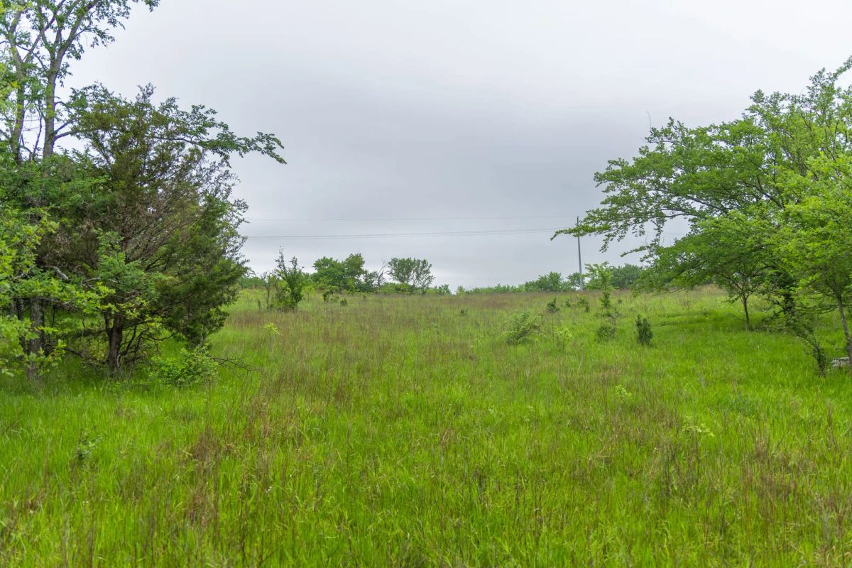 Decorative background for Harmony Hills Tract 7 image 6