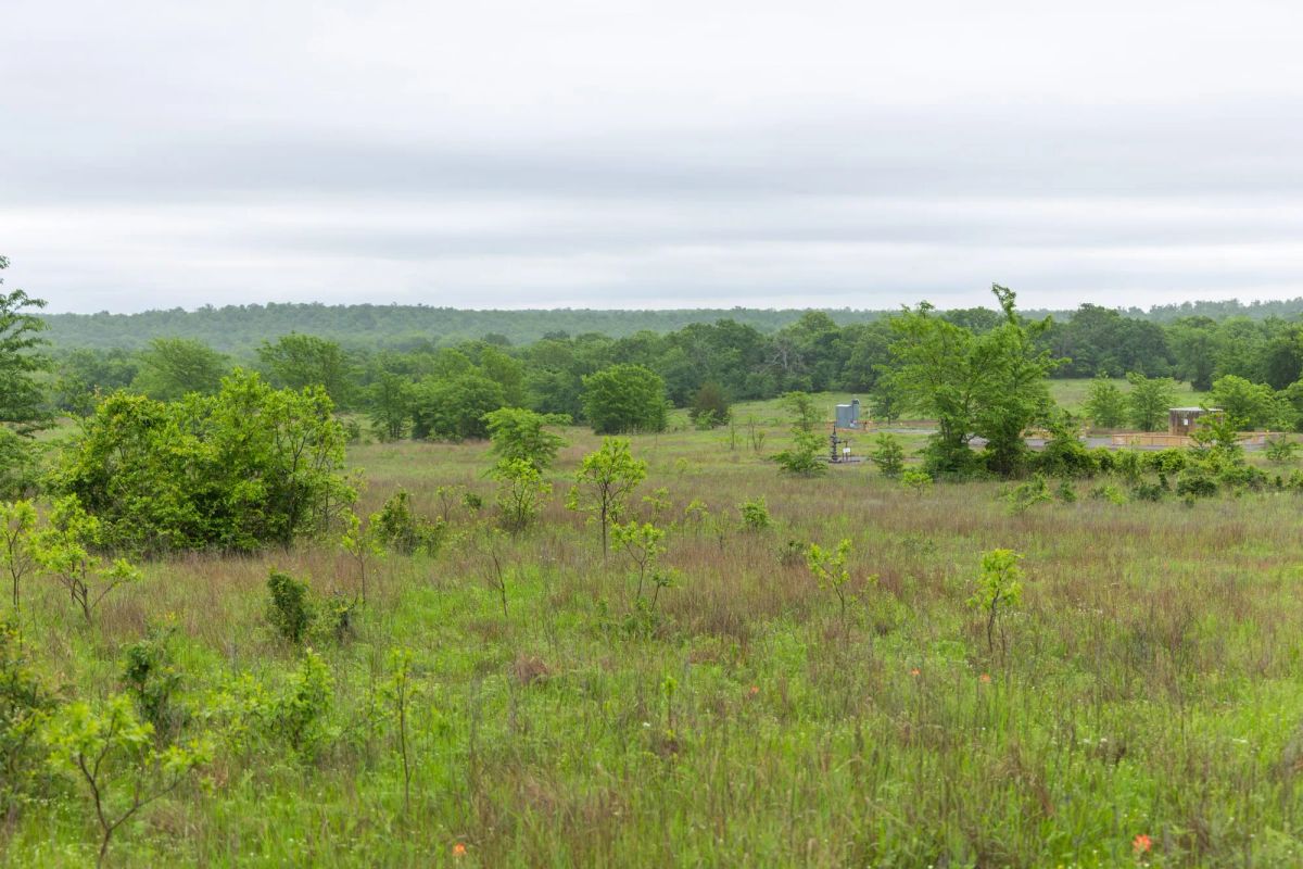 Decorative background for Harmony Hills Tract 7 image 8