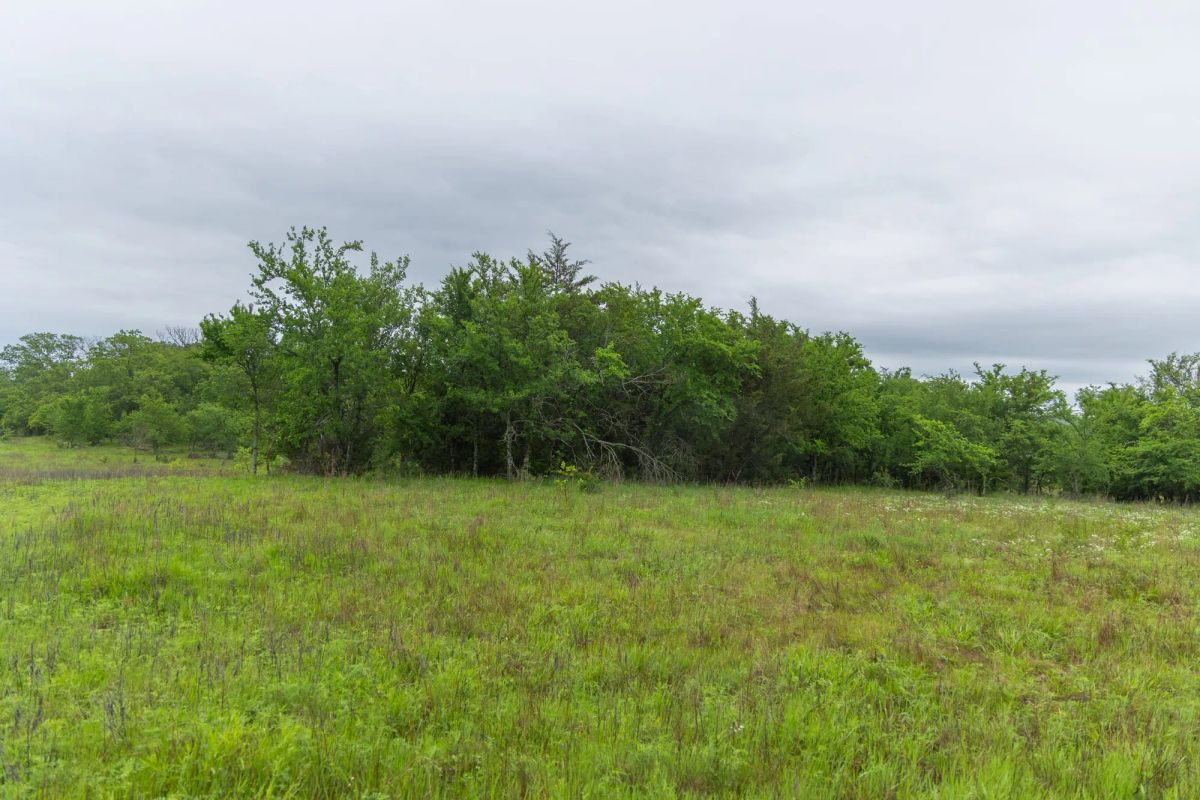Decorative background for Harmony Hills Tract 7 image 10