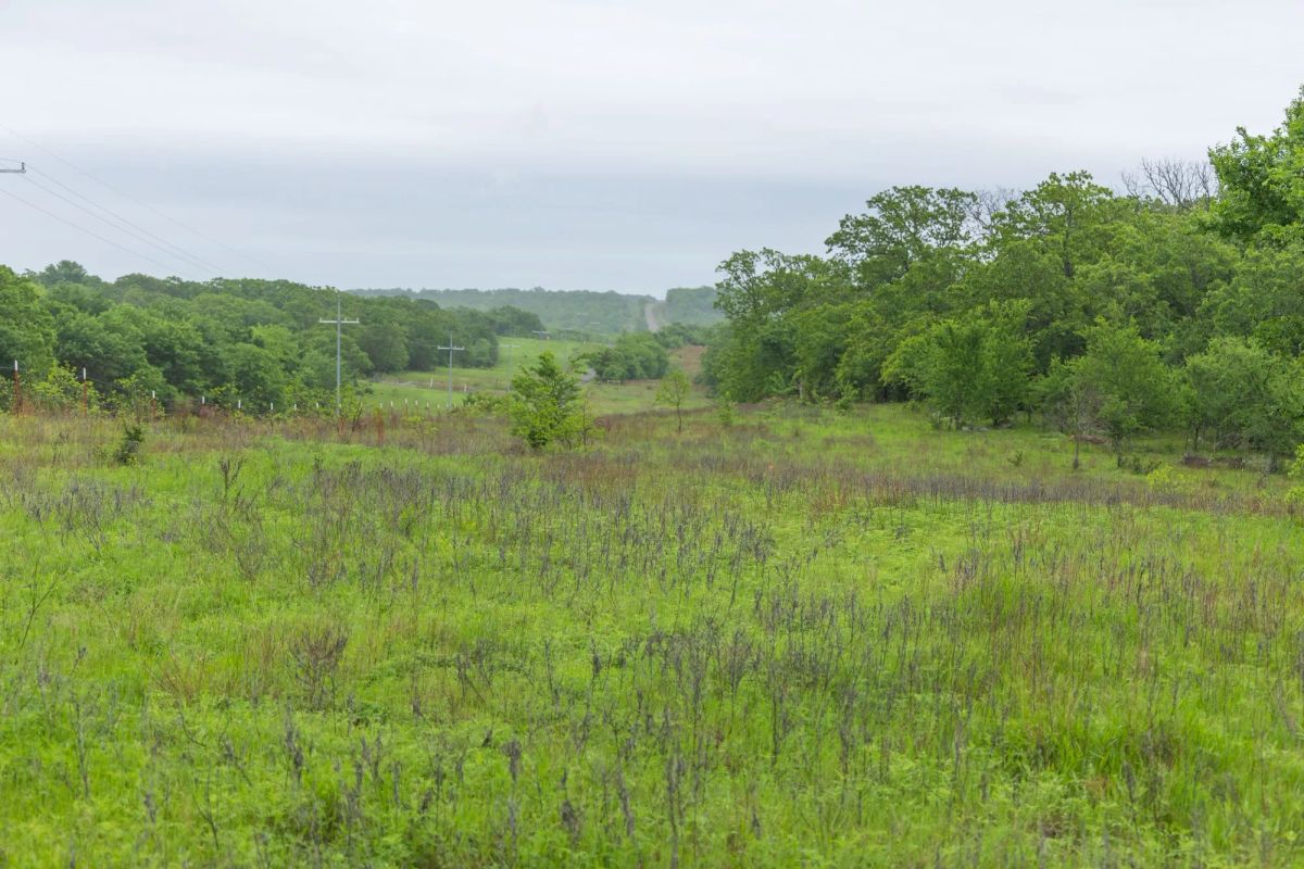 Decorative background for Harmony Hills Tract 7 image 13
