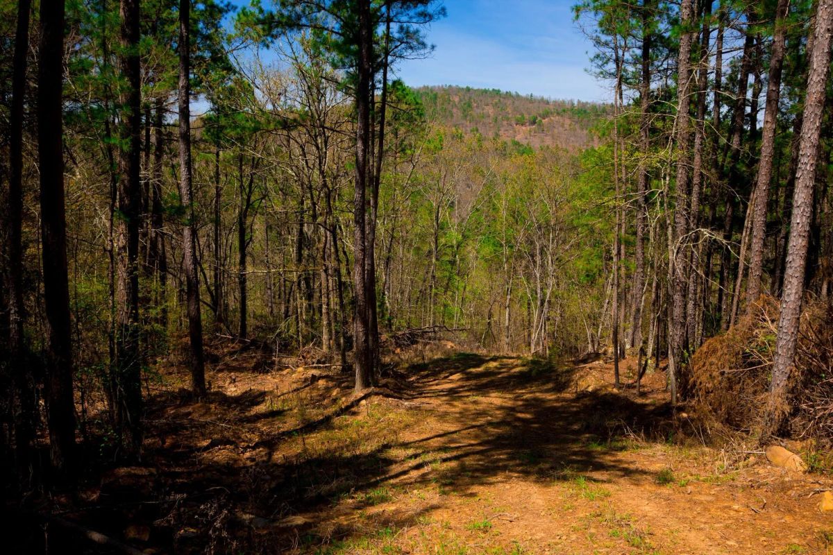 Stone Creek Phase II Tract 217 - Image 2