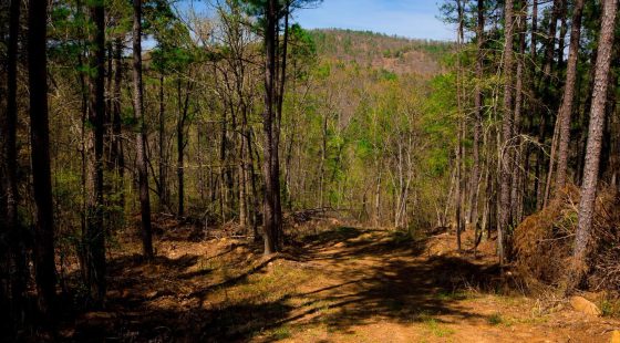 Stone Creek Phase II Tract 217 in Latimer County, OK