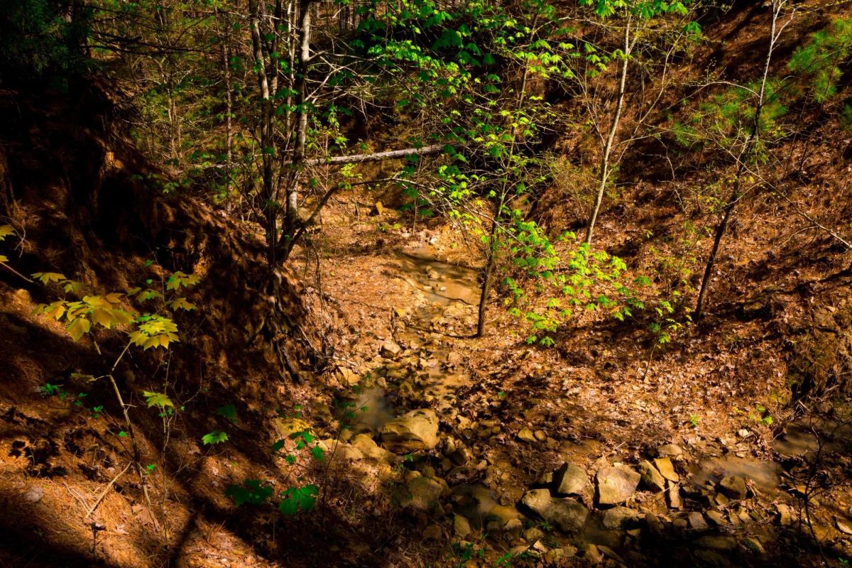 Decorative background for Stone Creek Phase II Tract 217 image 6