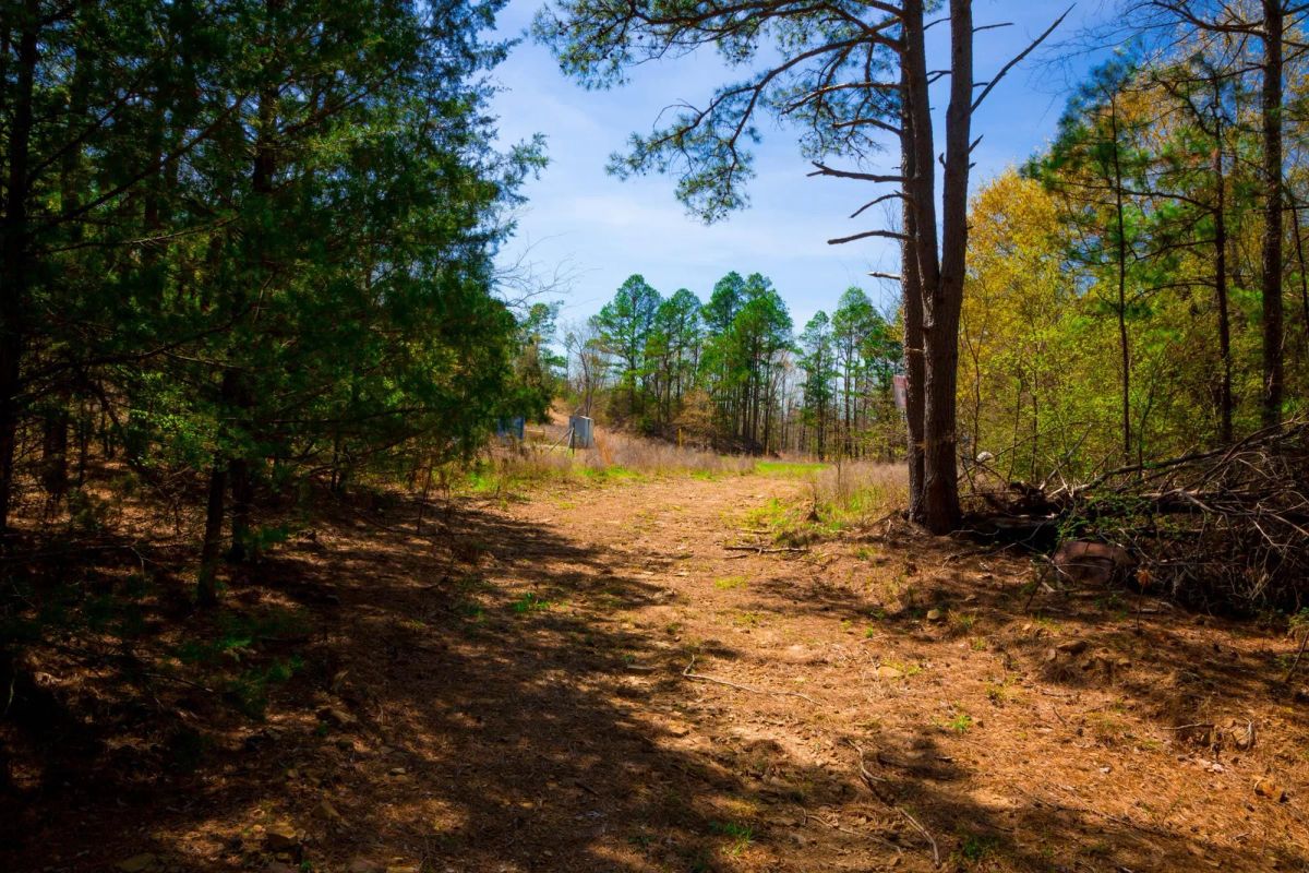 Decorative background for Stone Creek Phase II Tract 217 image 9