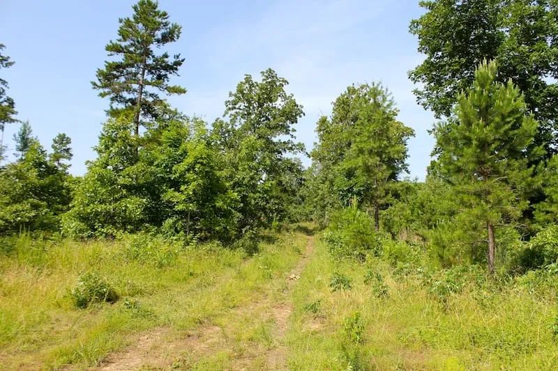 Green Mountain Ranch Tract 17 in Shannon County, MO