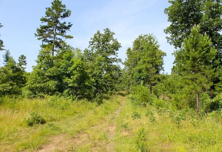 Green Mountain Ranch Tract 17 in Shannon County, MO