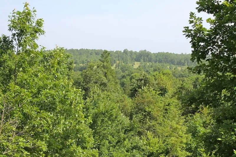 Green Mountain Ranch Tract 17 - Image 2