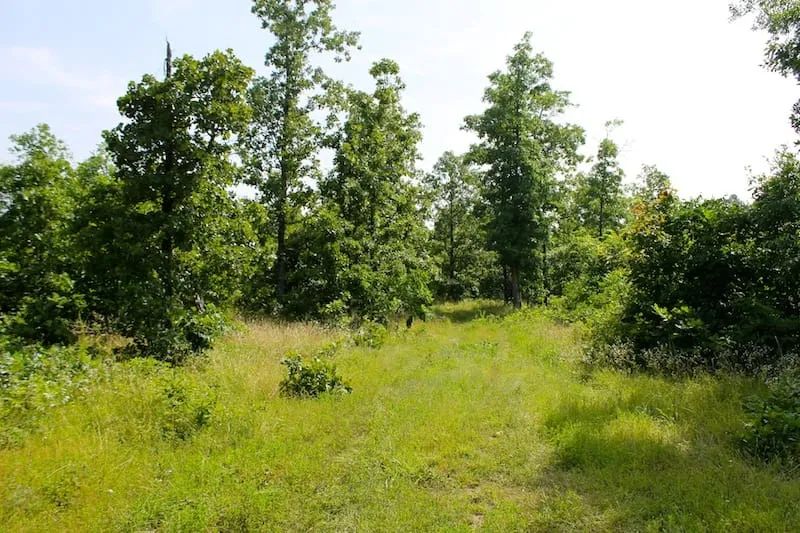 Green Mountain Ranch Tract 17 - Image 4