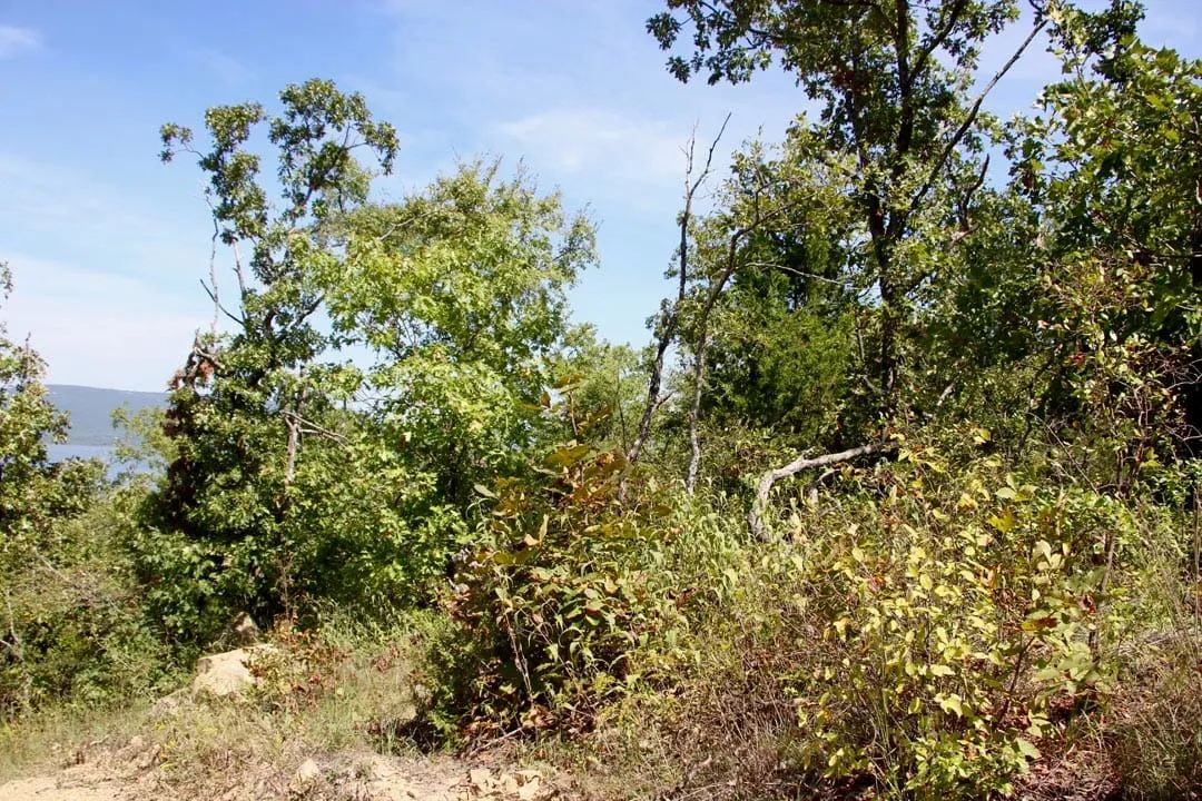Lakeview Private Reserve Tract 13 in Pushmataha County, OK
