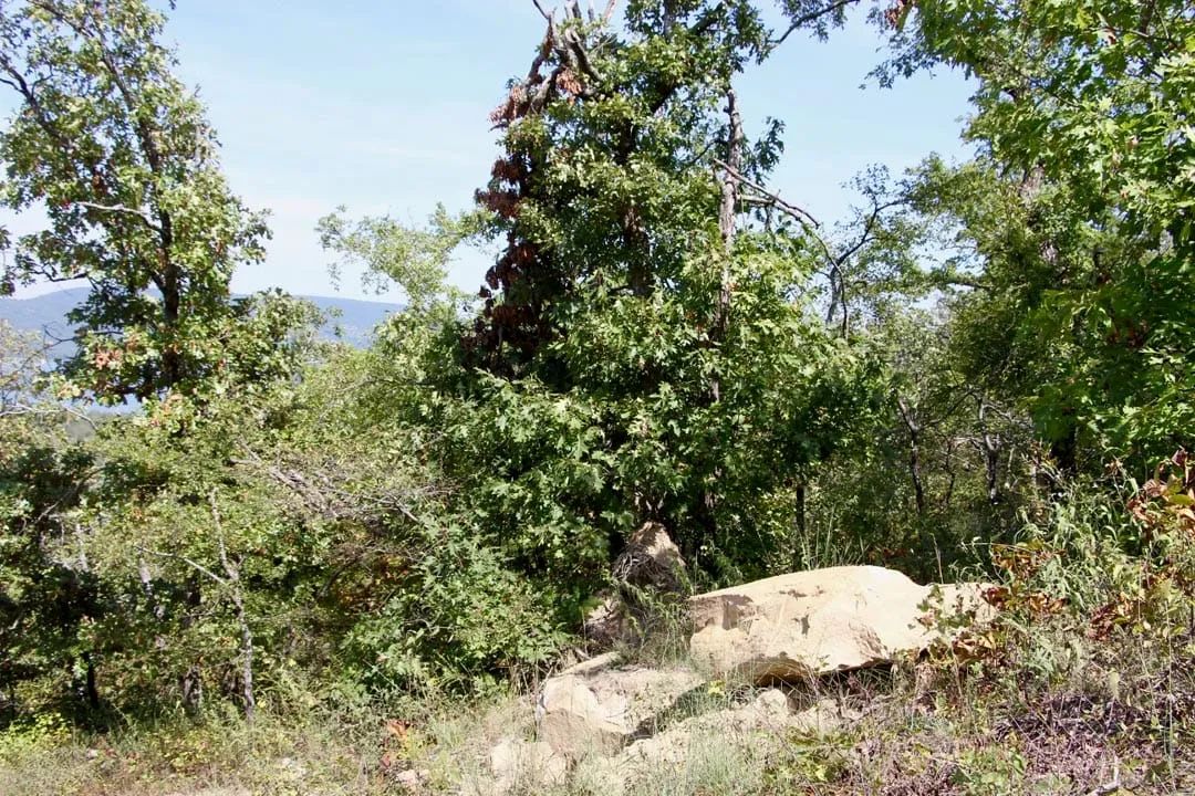 Decorative background for Lakeview Private Reserve Tract 13 image 5