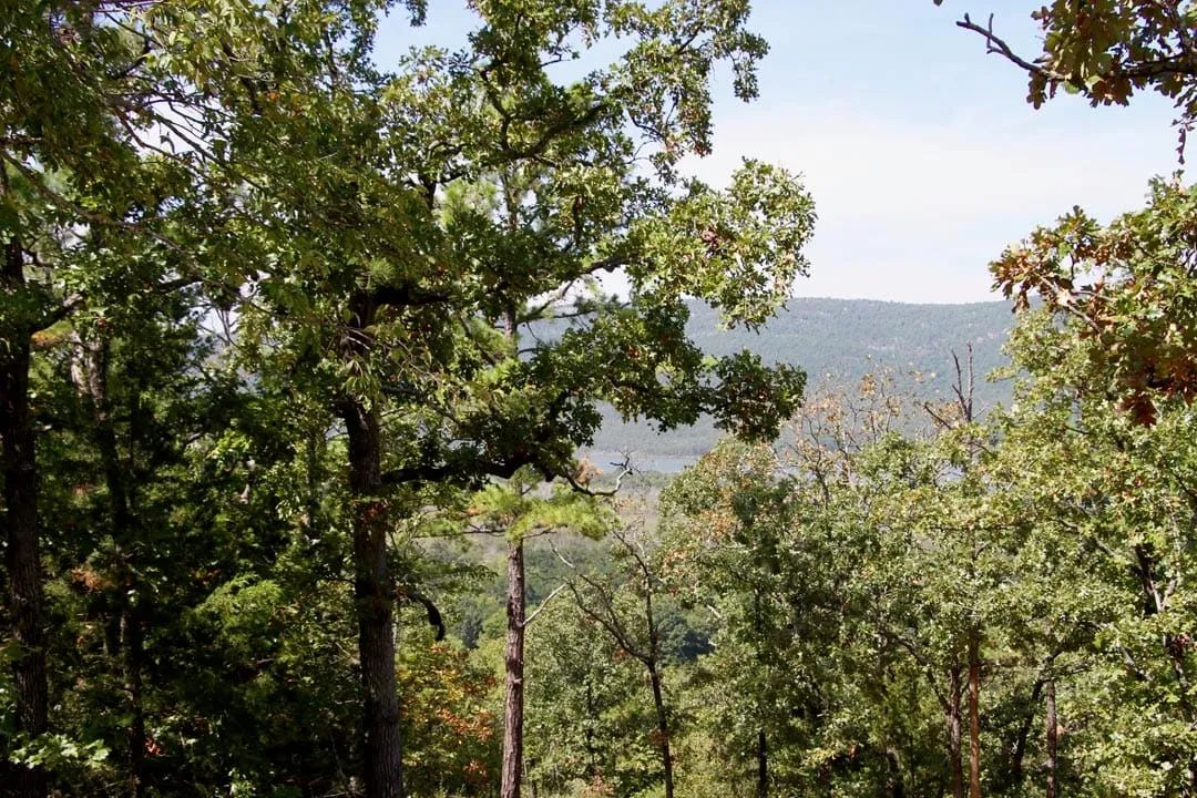 Decorative background for Lakeview Private Reserve Tract 13 image 6