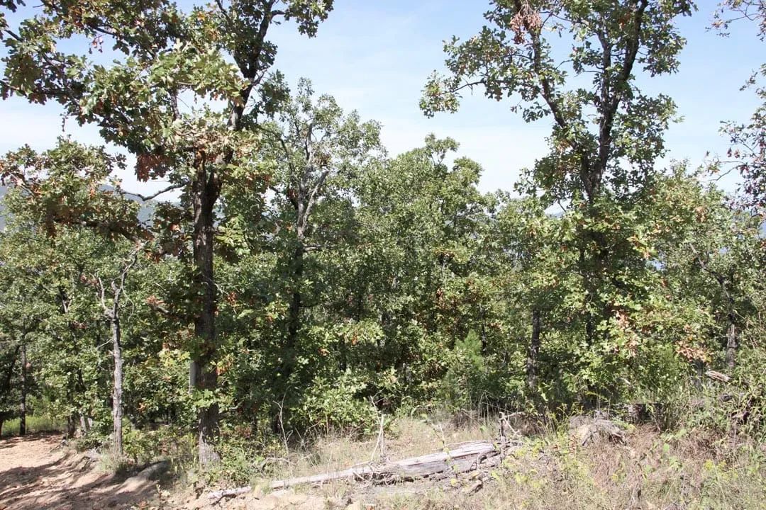 Decorative background for Lakeview Private Reserve Tract 13 image 7