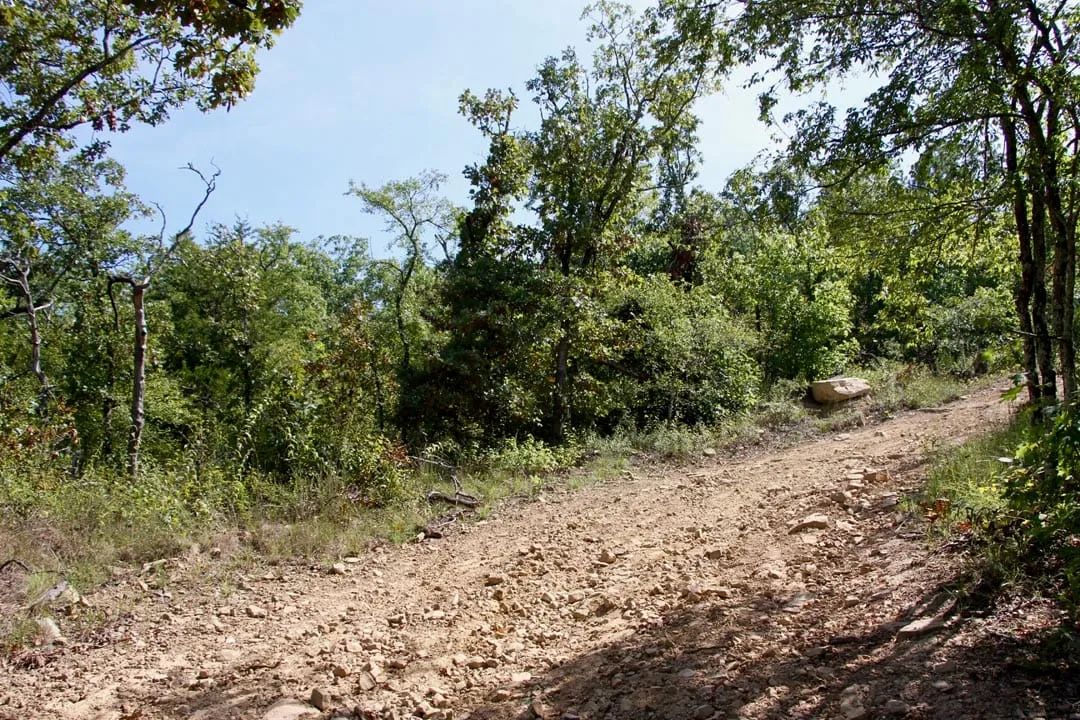 Decorative background for Lakeview Private Reserve Tract 13 image 8