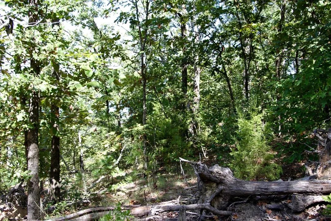 Decorative background for Lakeview Private Reserve Tract 13 image 10