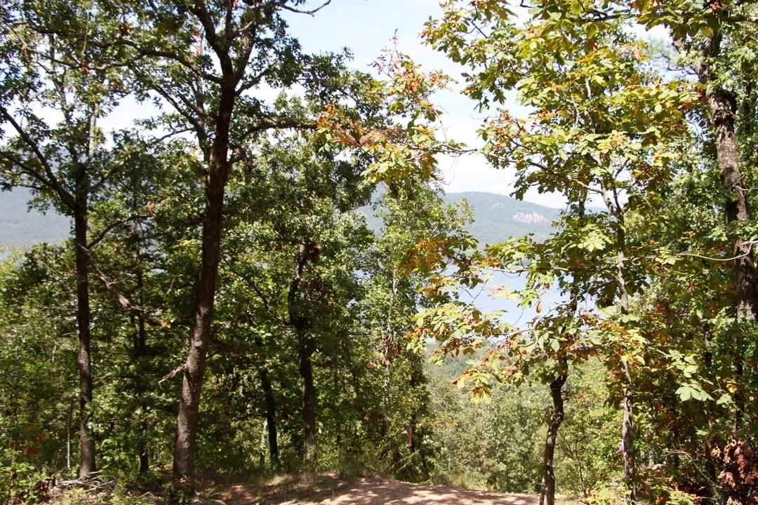 Decorative background for Lakeview Private Reserve Tract 13 image 11