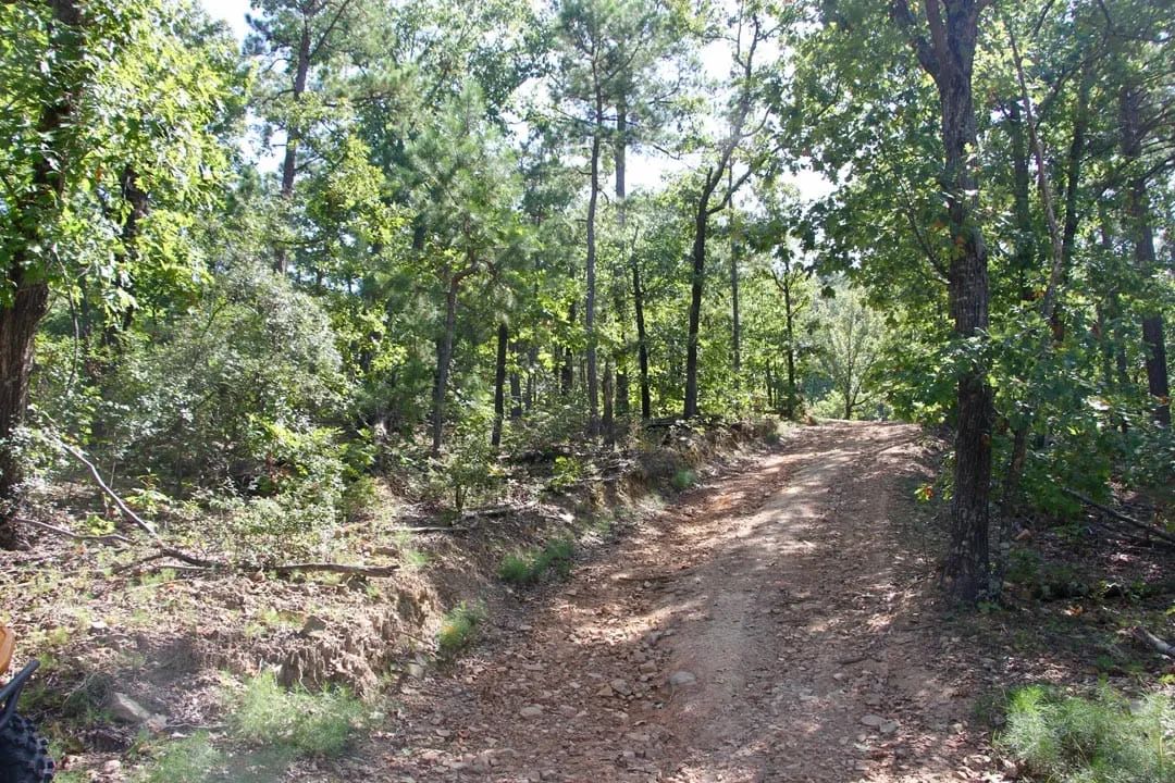 Decorative background for Lakeview Private Reserve Tract 13 image 13