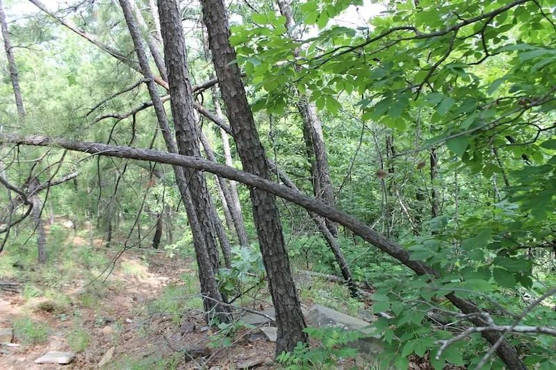Indian Ridge – Phase II Tract 40 - Image 2